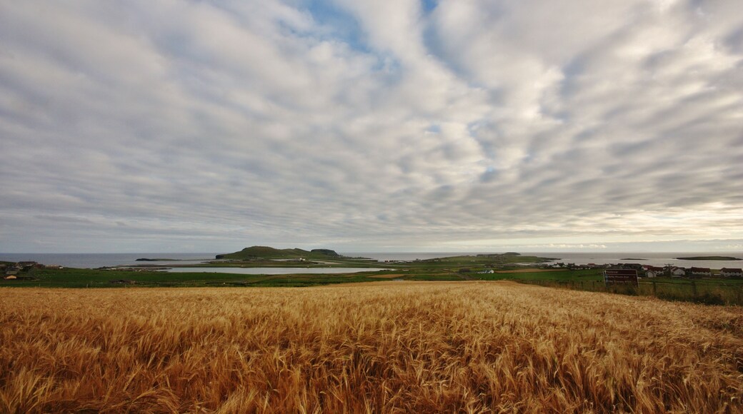 Looking south to Sumburgh Head