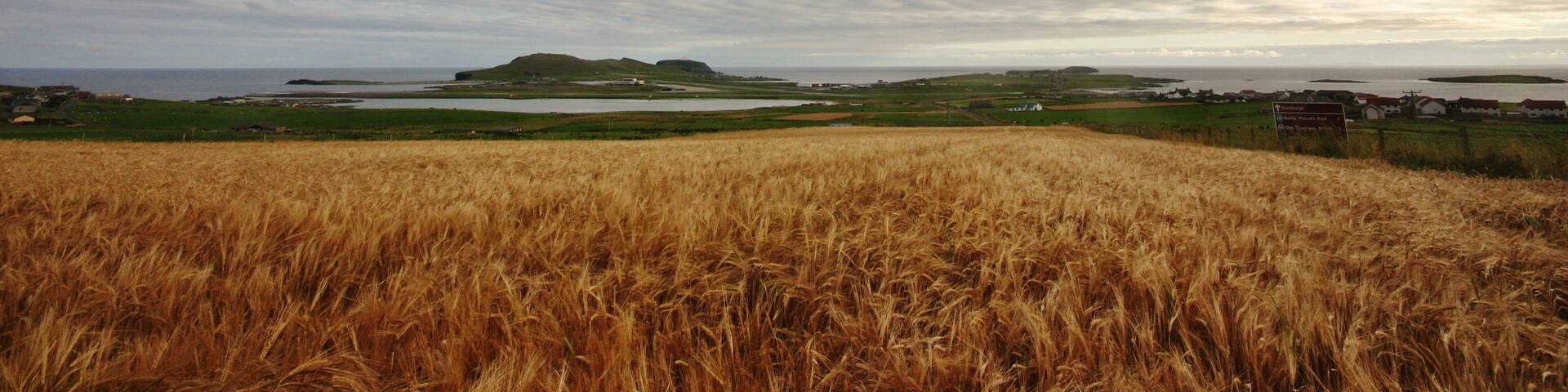 Looking south to Sumburgh Head
