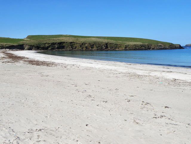 A sandy beach with a grassy hill in the background.