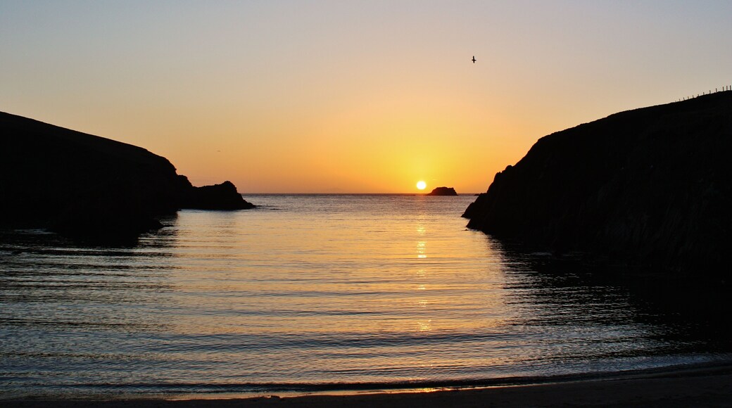 Peerie Spiggie IMG_1753