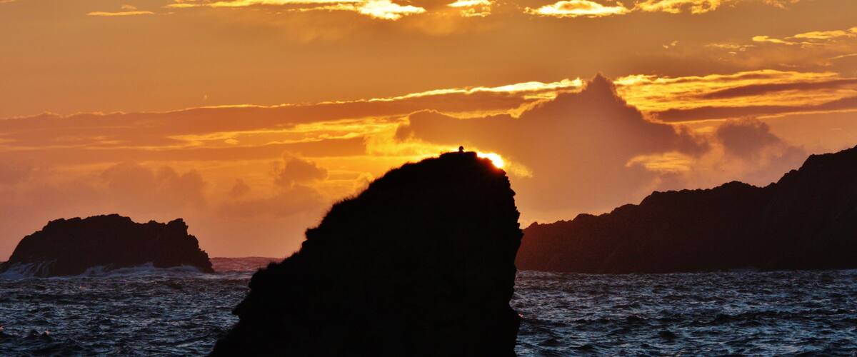 Just Watching IMG_8960