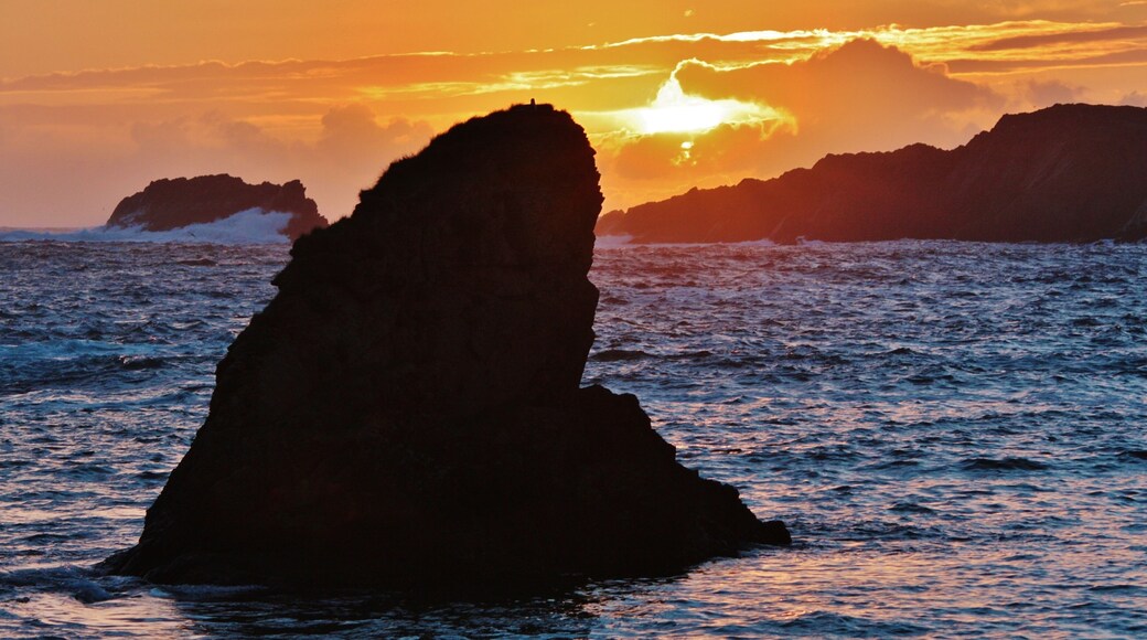 King of the Castle IMG_8961