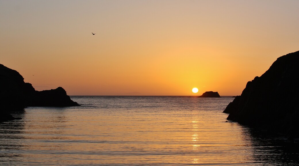 Calm seas and a cloudless sky, distant Foula can just be seen on the horizon !