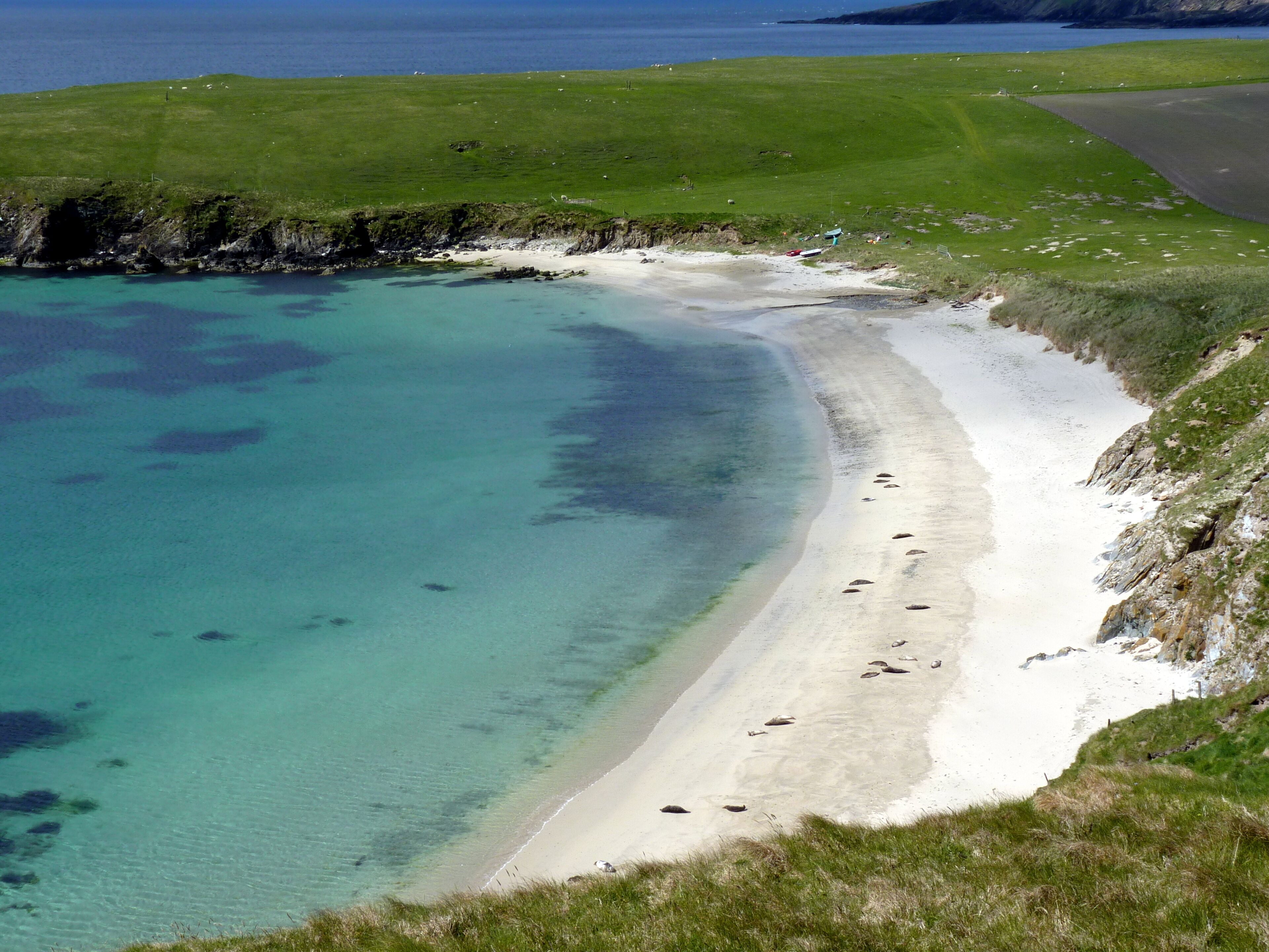 A coastal landscape with a sandy beach, clear turquoise waters, and green grassy areas.