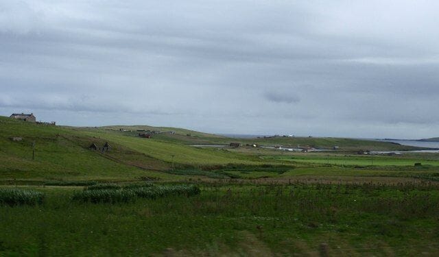 Cunningsburgh meadows