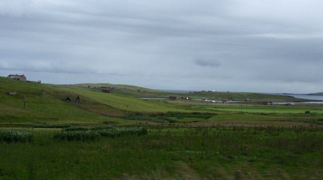 Cunningsburgh meadows