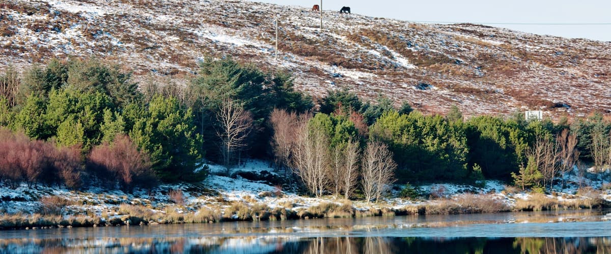 Winter Reflections IMG_0168