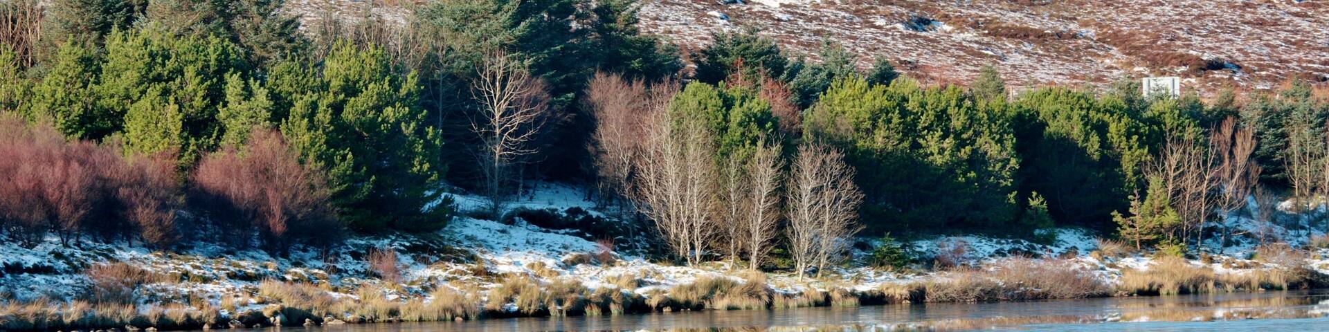 Winter Reflections IMG_0168