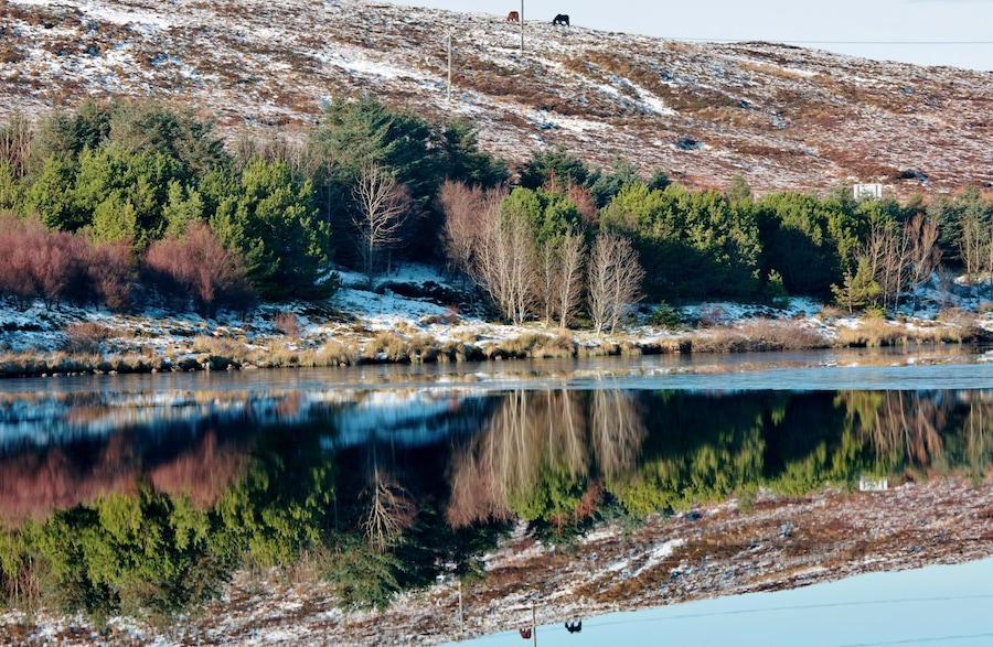 Winter Reflections IMG_0168