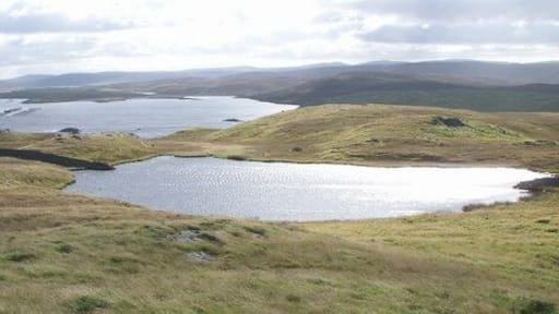 Loomi Shun Loomi Shun, Lunnasting, small lochan. Loomi meaning wild fowl and shun a small body of water.