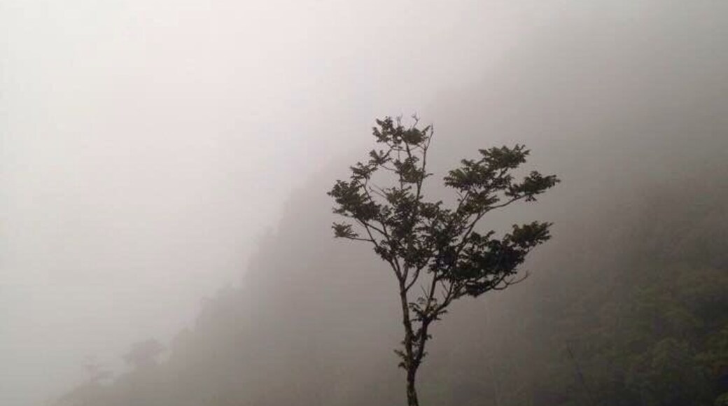 Its called natural "Paradise Gate". Coming there in a foggy evening was perfect for me to absolutely enjoy their beauty..Amazing!!!!