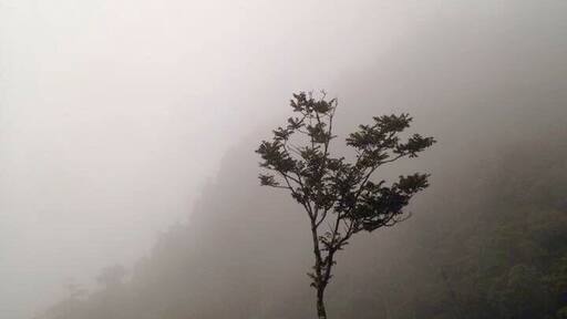 Its called natural "Paradise Gate". Coming there in a foggy evening was perfect for me to absolutely enjoy their beauty..Amazing!!!!