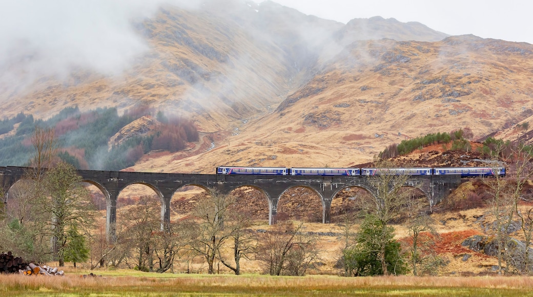 Viaduc de Glenfinnan