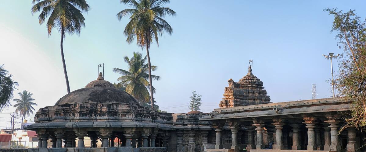 A temple with intricate carvings, a large dome, and palm trees in the background.