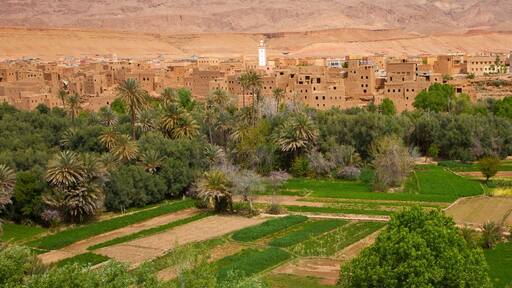 Tinerhir,la entrada a las Gargantas del Todra, Alto Atlas, Marruecos, Africa