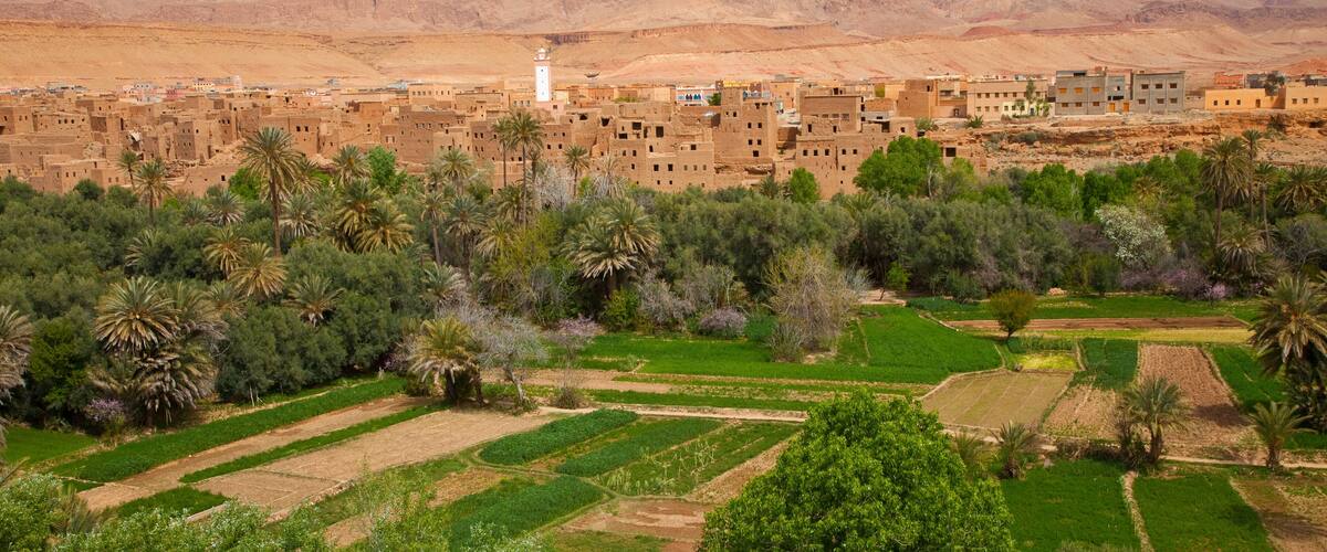 A village with traditional mud-brick buildings, palm trees, and terraced fields.