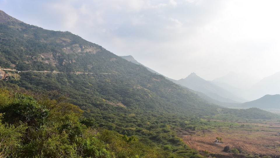 A mountainous landscape with dense green vegetation and a winding road.