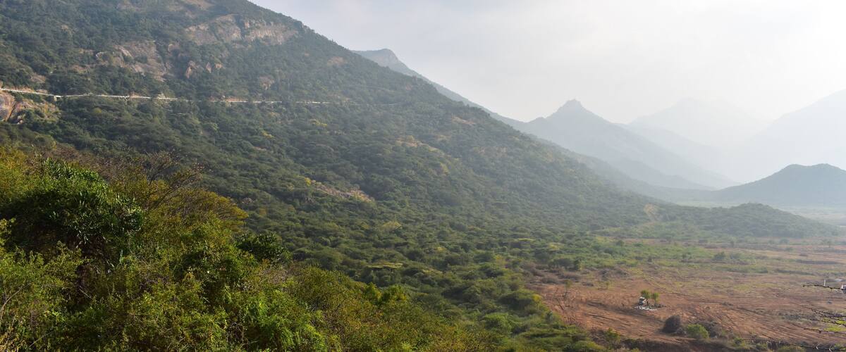 A mountainous landscape with dense green vegetation and a winding road.