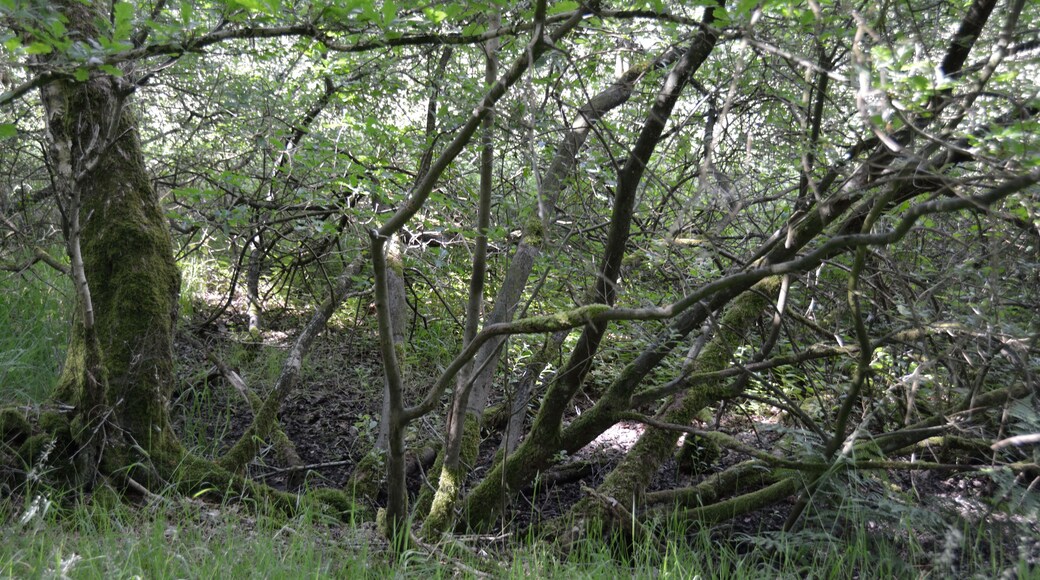 This image was uploaded as part of Wiki Loves Earth 2014.