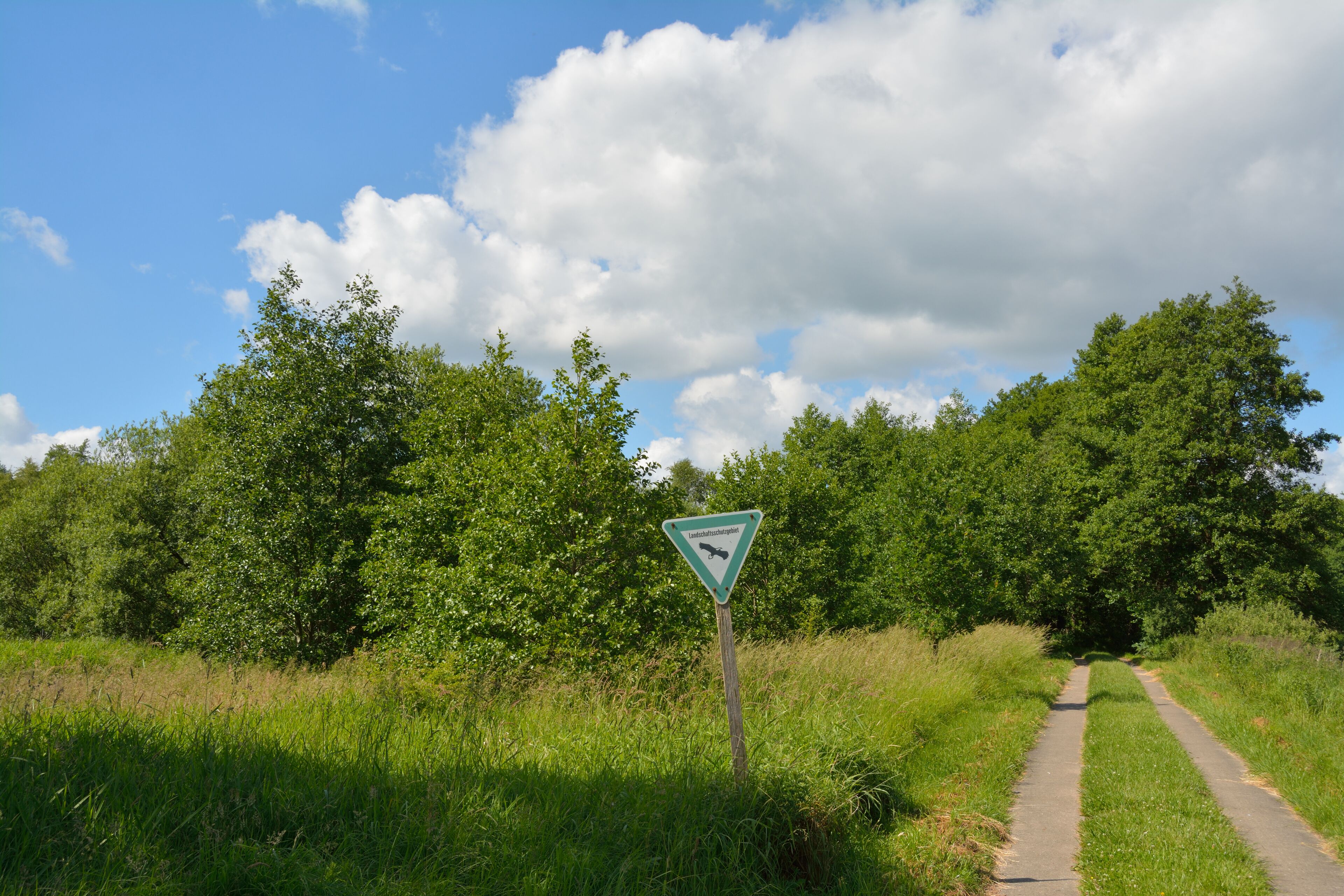A rural road with a directional sign, surrounded by lush greenery and trees.