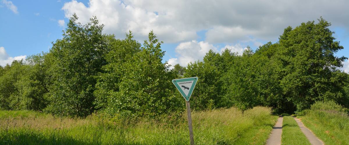 A rural road with a directional sign, surrounded by lush greenery and trees.