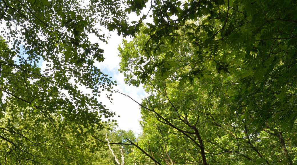 This image was uploaded as part of Wiki Loves Earth 2014.