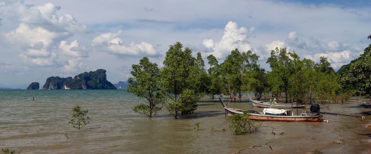A calm river with boats and trees.