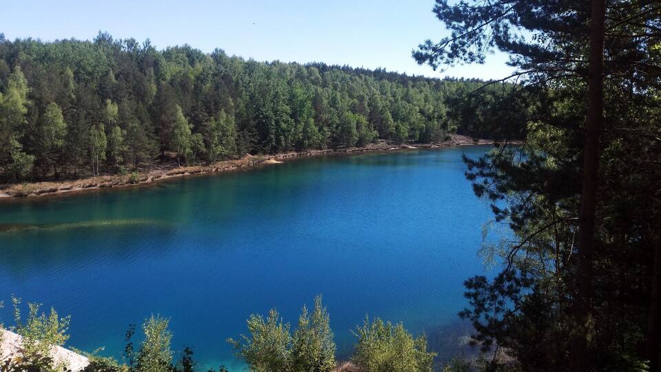 A calm lake surrounded by dense forest.