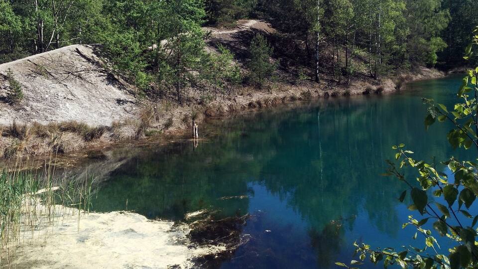 A clear river surrounded by dense forest and a sandy area.