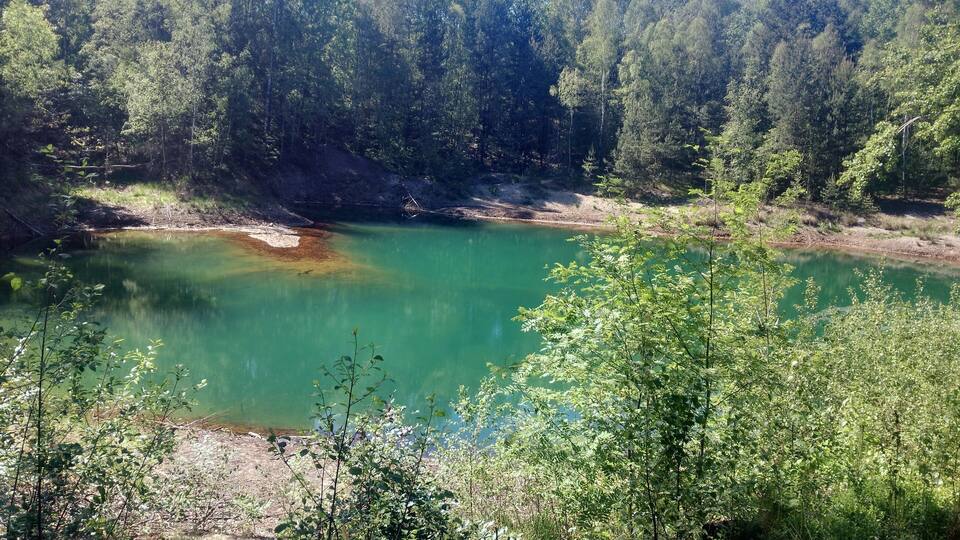 A serene lake surrounded by dense forest.