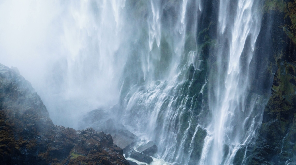 Bottom of the Victoria Falls, taken from the Zambian side. This place is definitely a must-see, but is quite far from other places. I came there from Namibia and it is quite a long drive.. ..but it is totally worth it !!
#BvSWater