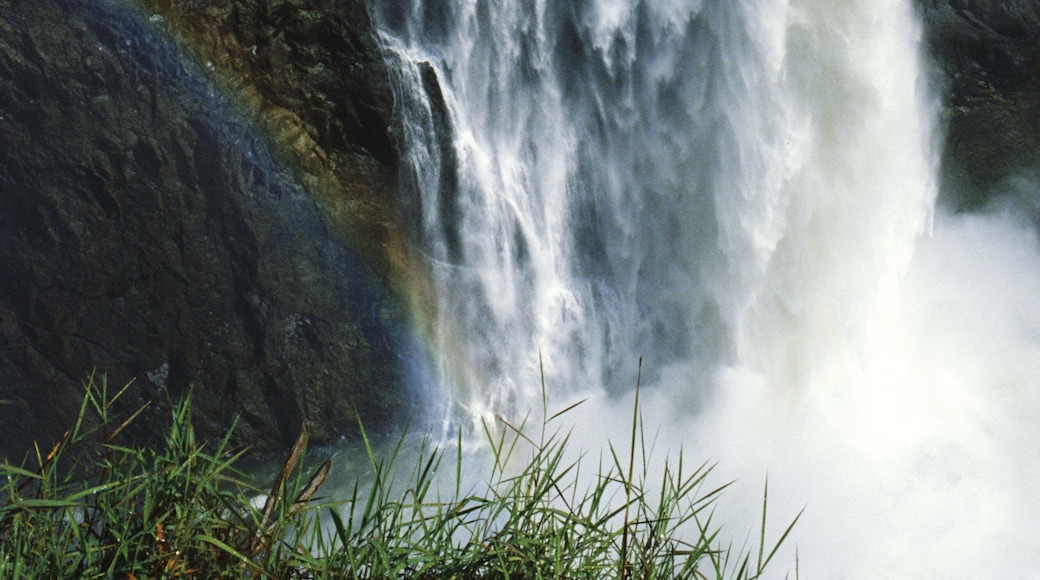 Chutes Victoria