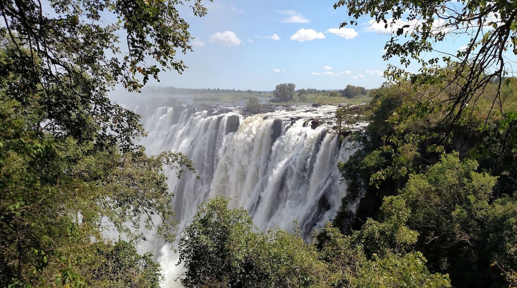 Victoria Falls in March. Gorgeous and powerful.