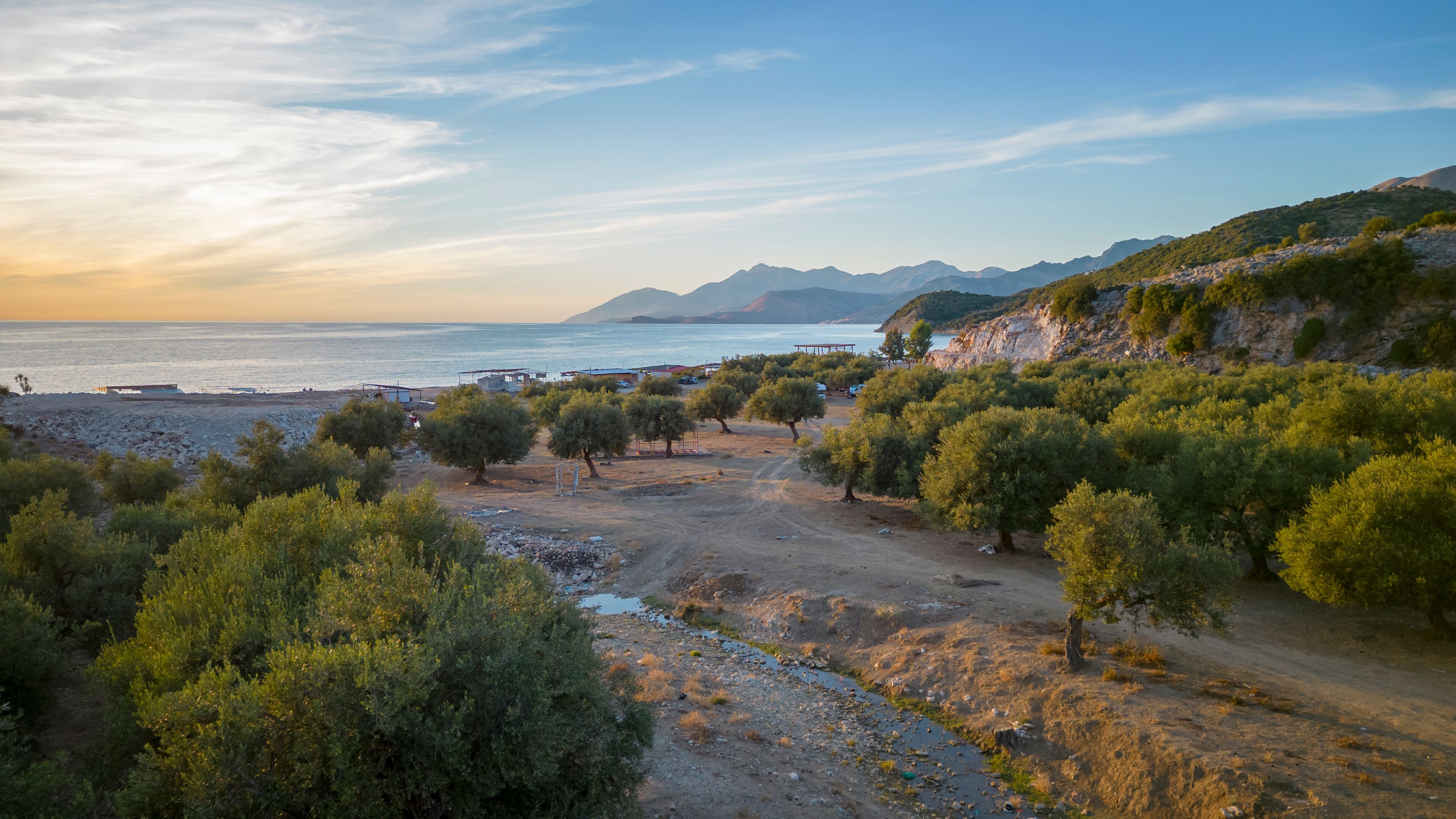 A coastal landscape with olive groves, a beach, and distant mountains.