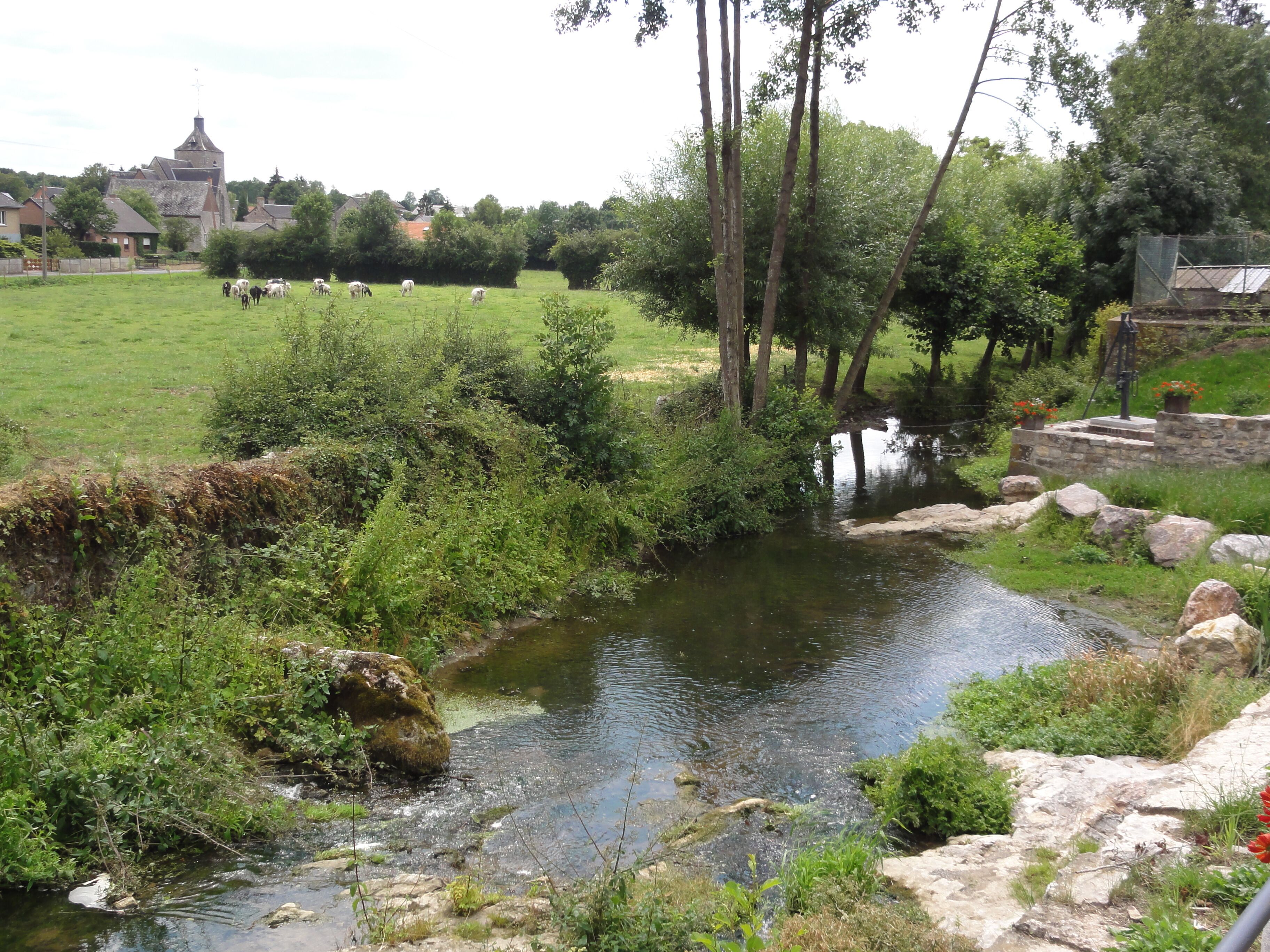 A rural landscape with a small stream, lush greenery, and a church in the background.