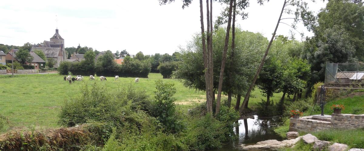 A rural landscape with a small stream, lush greenery, and a church in the background.