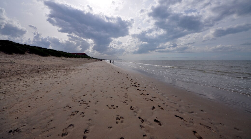 Zuydcoote - La plage 1