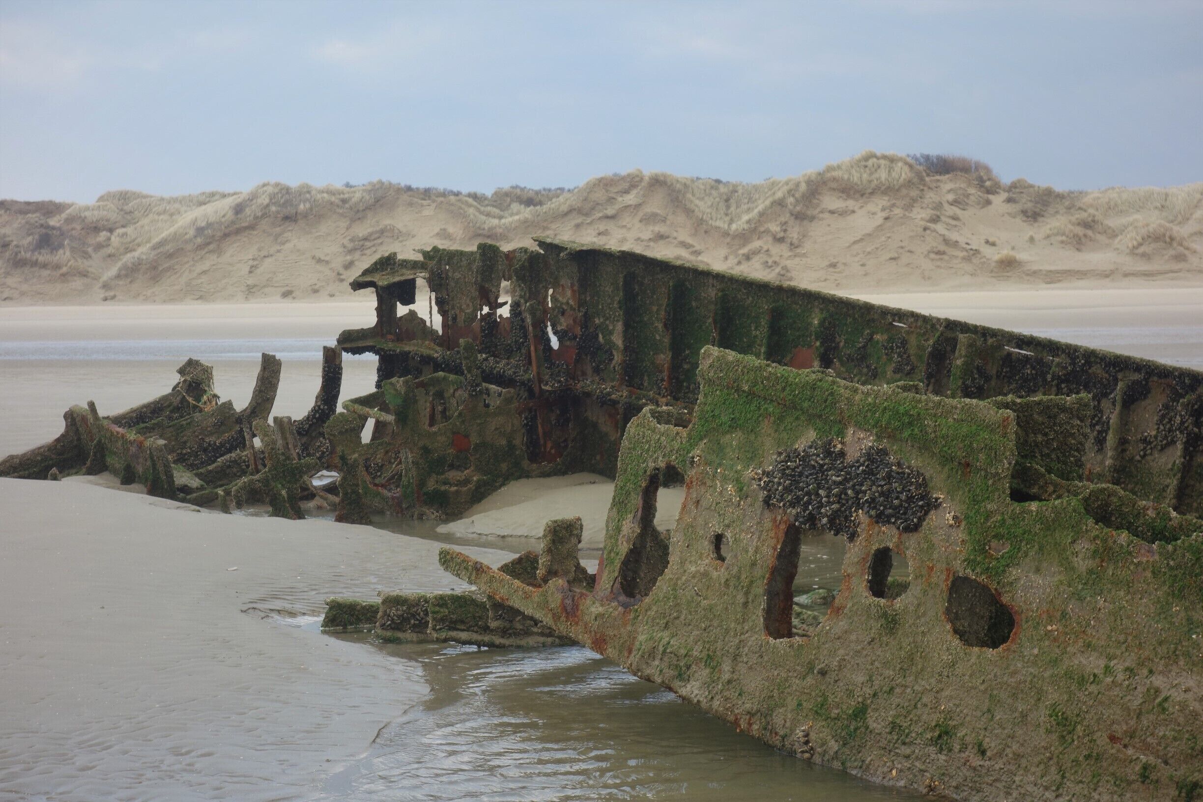 Wreck of the X37 “Claude” on the beach of Zuydcoote (near Dunkirk). This British X-lighter barge with flat bottom was transporting drinking-water for the troops in Dunkirk and was abandoned on May 29th 1940.
The shipwrecks on the beach of Zuydcoote can only be seen at spring tides. This shot was taken during low tide on April 1st, 2018  #BeachTips!  #LocalSecrets  #History