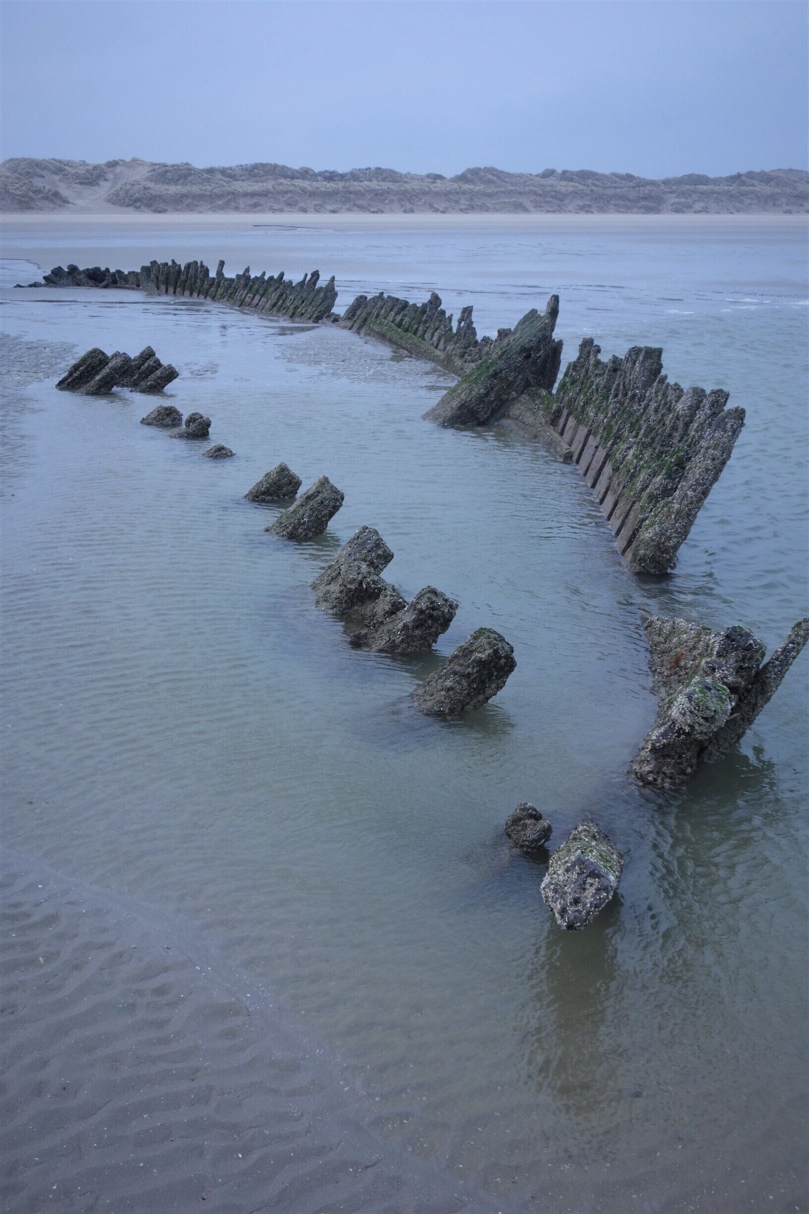 Skeleton of the “Vonette”, a French schooner (sunk on January 1st 1929) on the beach of Zuydcoote. #Details  #BeachTips!  #BVSBlue  #TroveOnTuesday  #LocalSecrets  #Trovember  #History