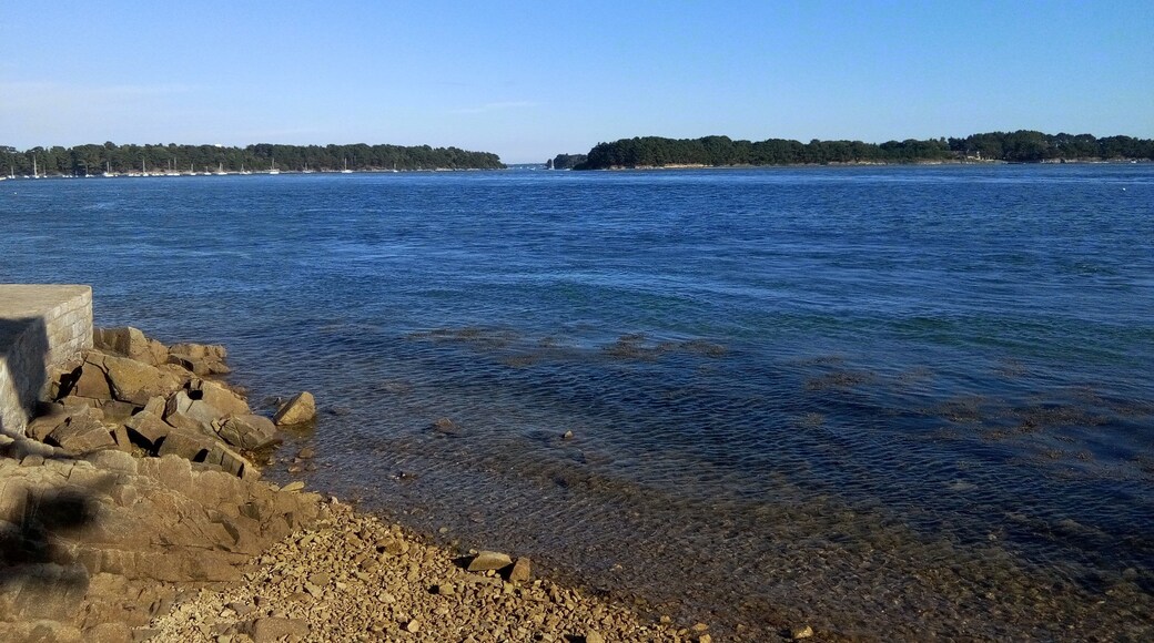 le golfe du morbihan depuis la pointe du berchis