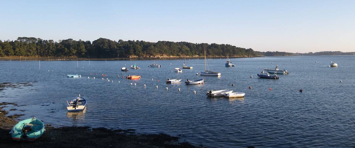 A calm lake with numerous boats anchored near the shore.
