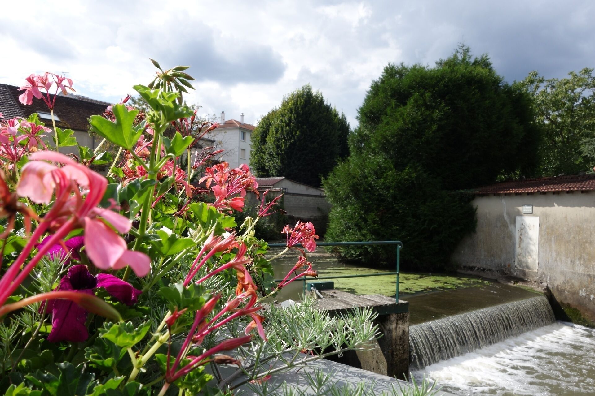 Vue sur la Marsange depuis la rue de l'Abreuvoir, Tournan-en-Brie