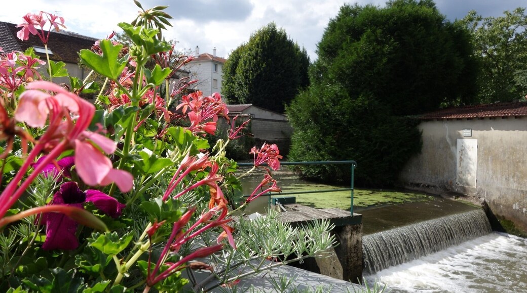 Vue sur la Marsange depuis la rue de l'Abreuvoir, Tournan-en-Brie
