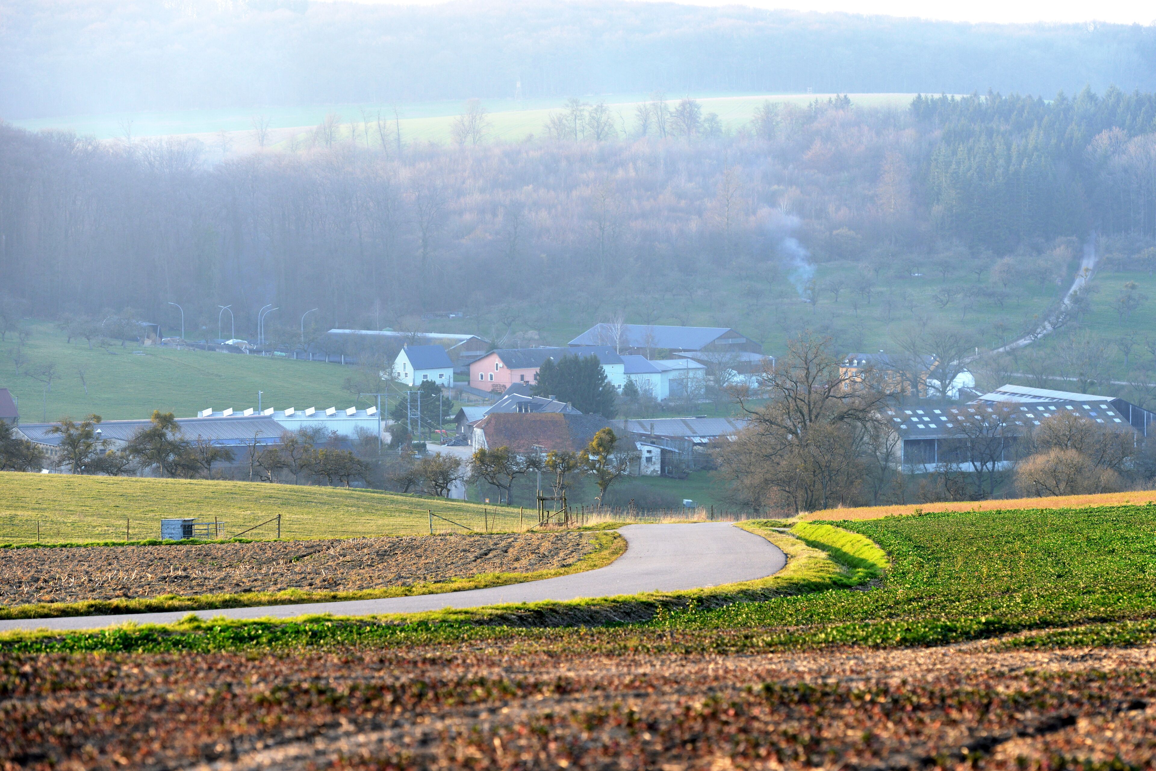 A rural landscape with a winding road, green fields, and a cluster of houses in the background.