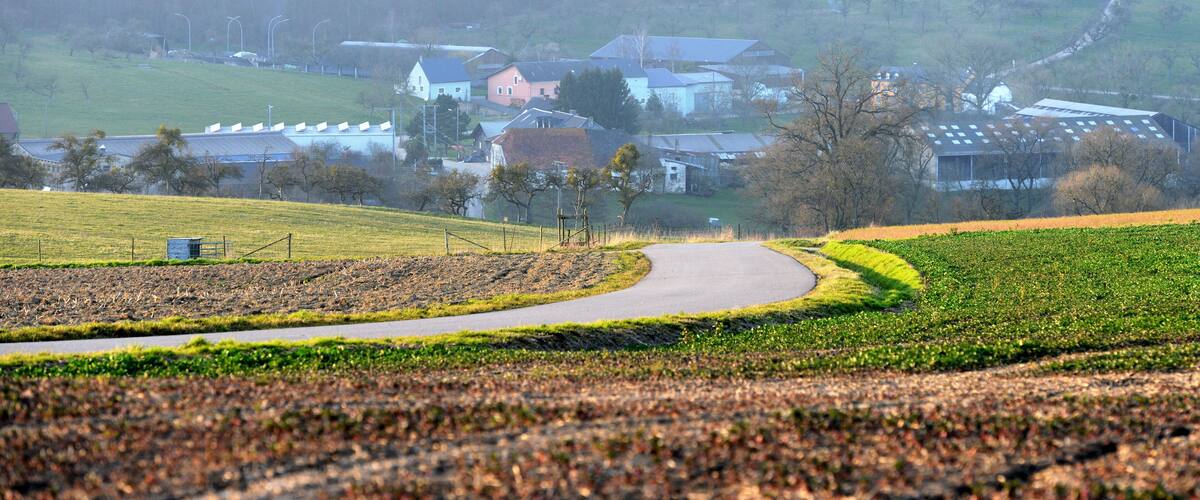 A rural landscape with a winding road, green fields, and a cluster of houses in the background.