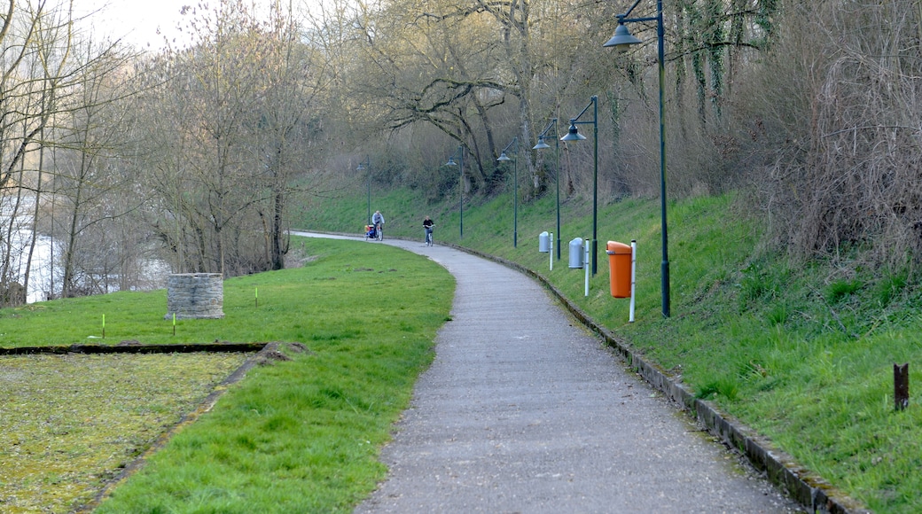 D'Vëlospist PC3 am Millewee zu Méischdref.