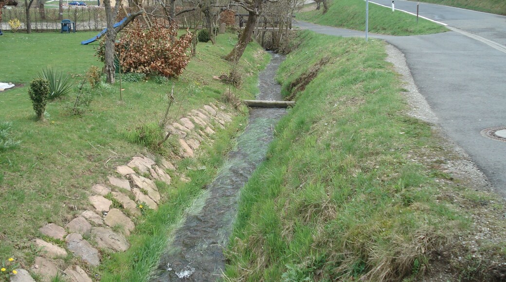 Der Schwedelsgraben (Mühlgraben) in Habichsthal