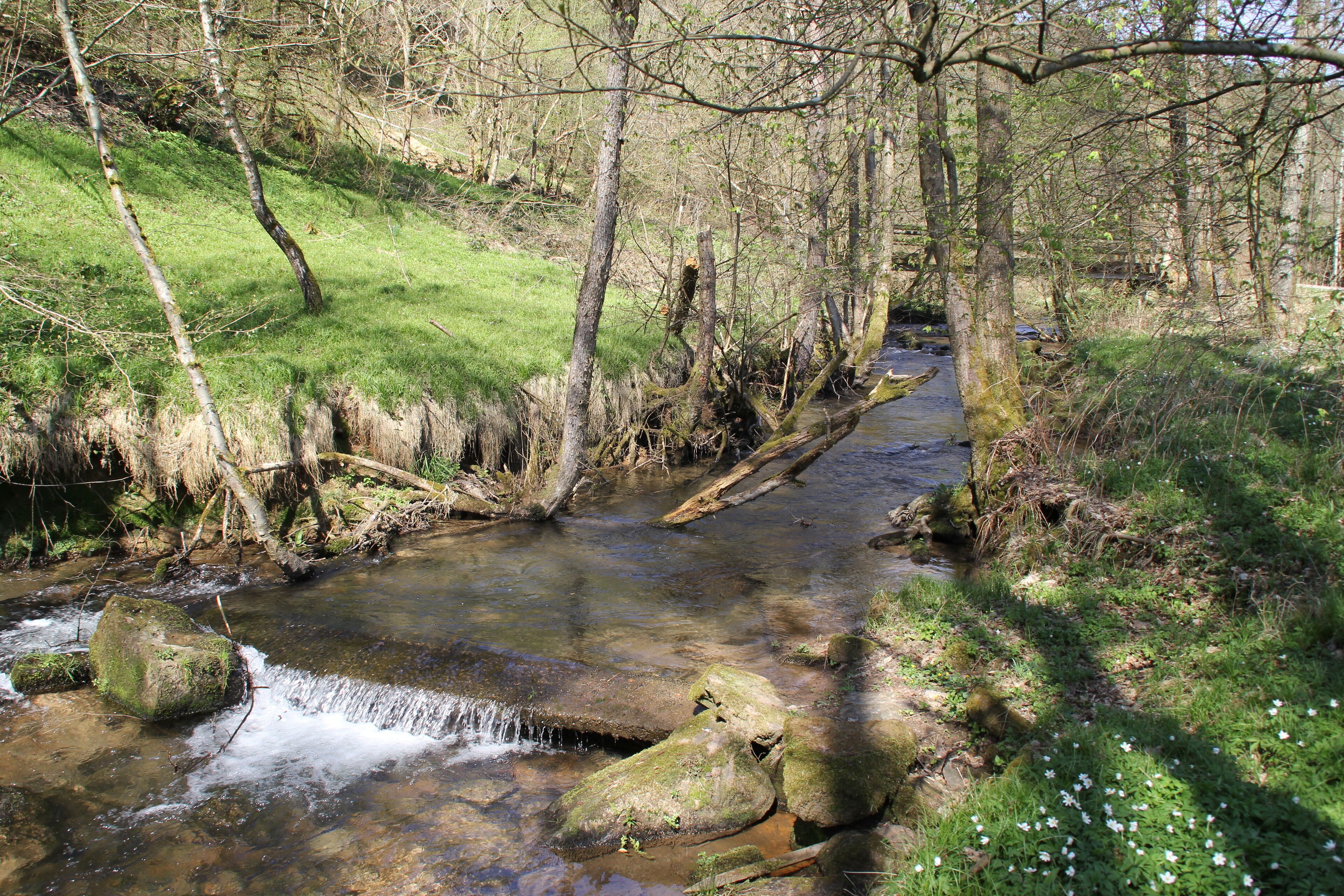 Der Aubach bei den Aubachseen (Auseen), Habichthal, Bayern