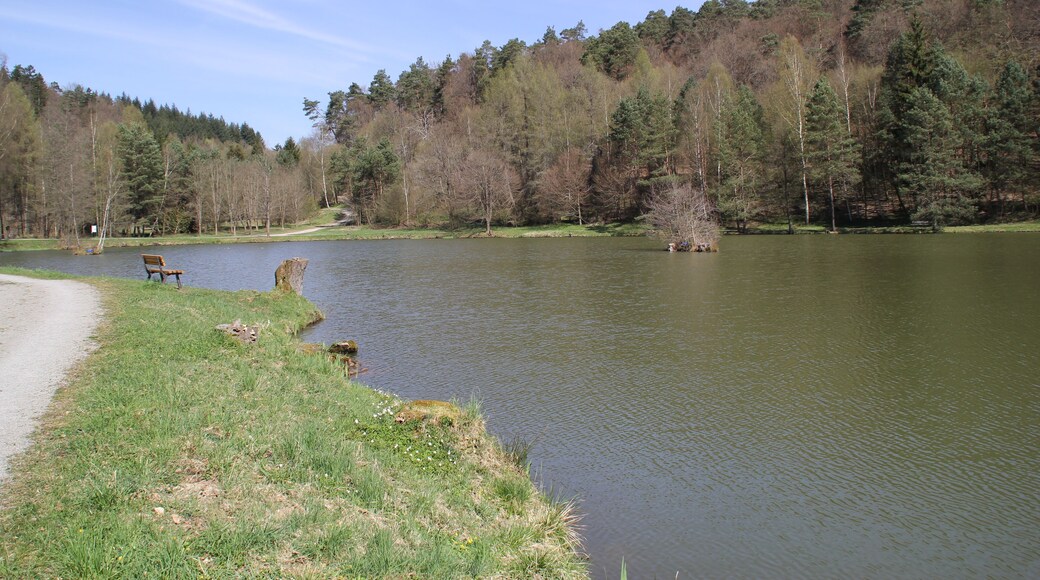 Der nördliche See der Aubachseen (Auseen) bei Habichsthal, Bayern
