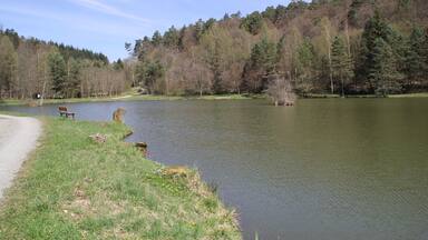 Der nördliche See der Aubachseen (Auseen) bei Habichsthal, Bayern